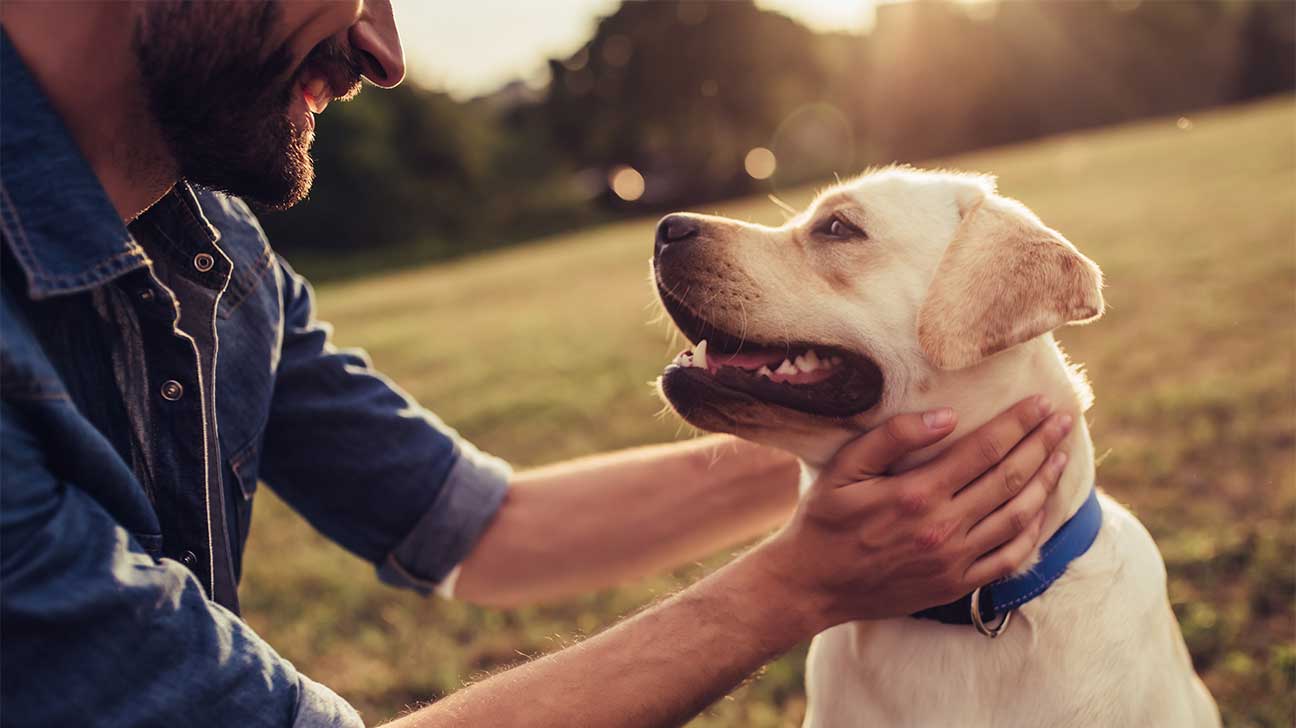 https://www.addictionresource.net/wp-content/uploads/2019/08/pet-friendly-drug-and-alcohol-rehab-centers.jpg